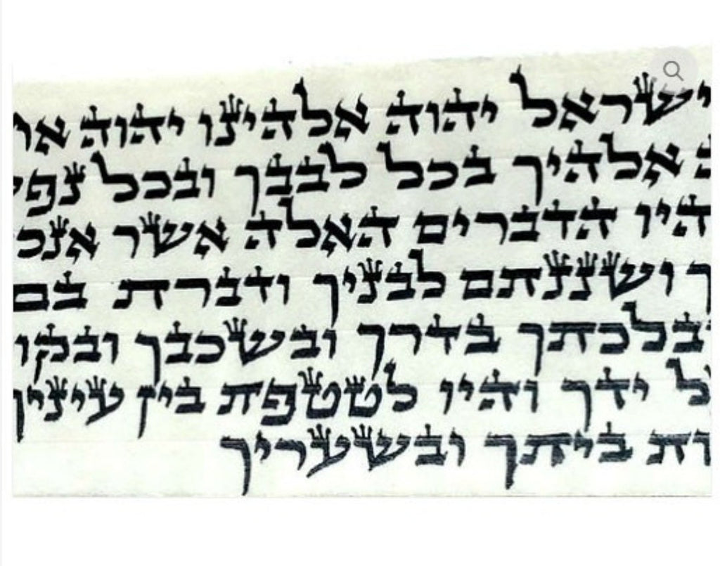 Tefillin Kosher Set with Elegant Tefillin Bag