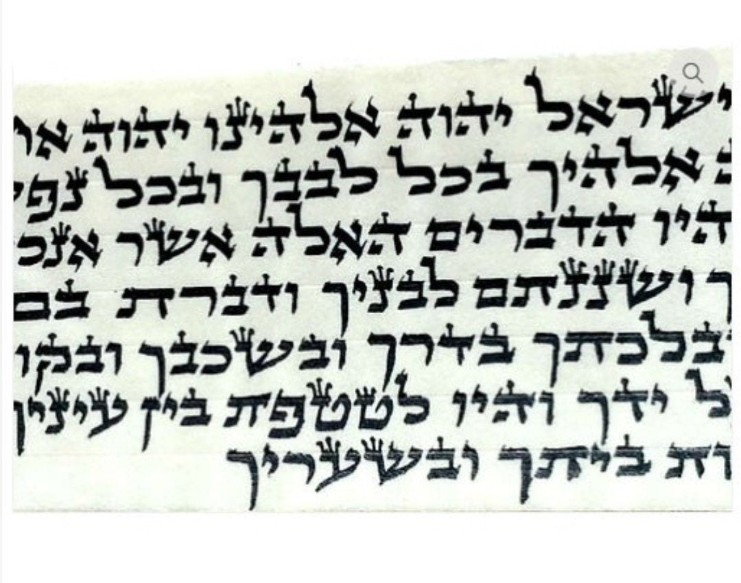 Tefillin Kosher Set with Elegant Tefillin Bag