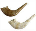 Rosh Hashanah Plastic Toy Kids Shofar like alike plastic